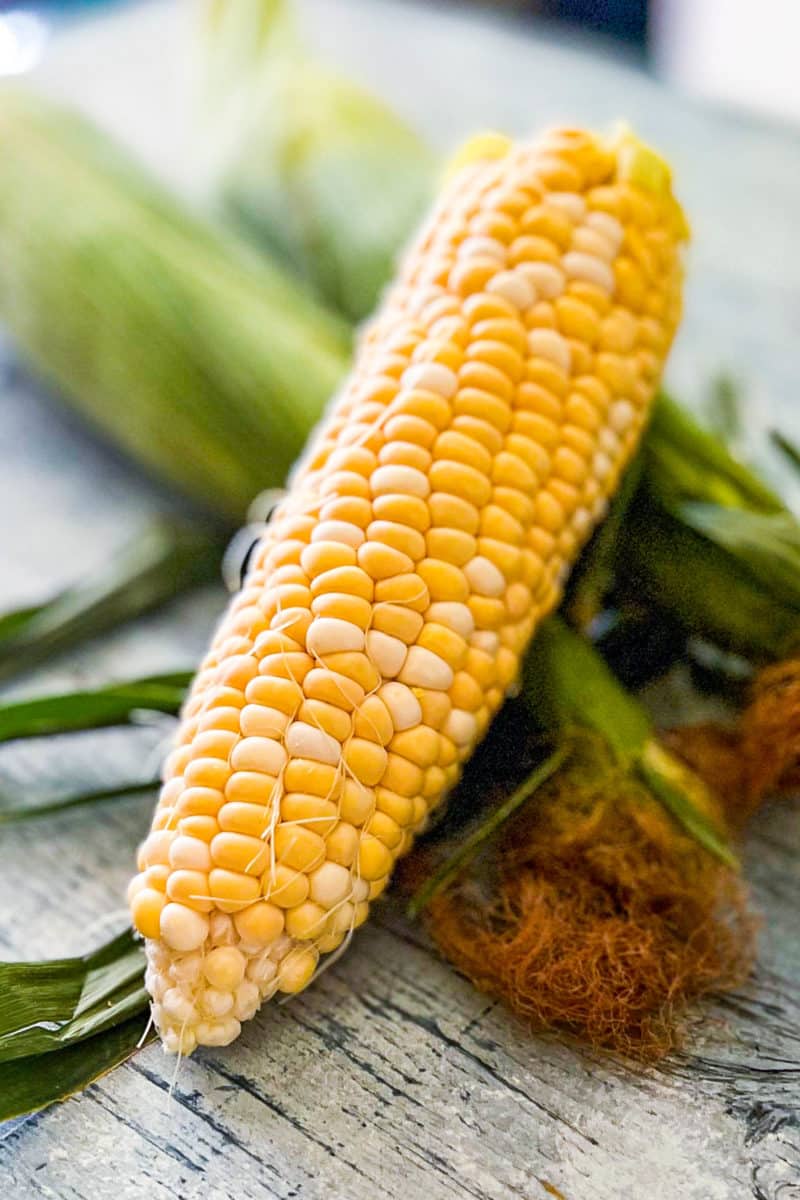 A shucked cob of fresh white and yellow sweet corn leaning on two more unshucked ears of corn.
