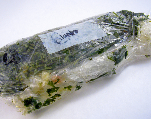 Cilantro preserved by freezing