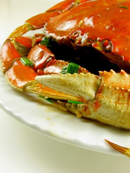 Dungeness Crab pan fried in Asian sauce