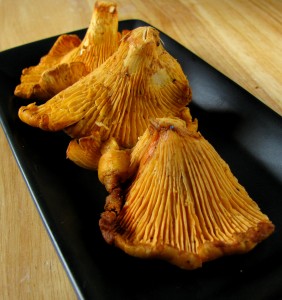 chanterelle mushrooms
