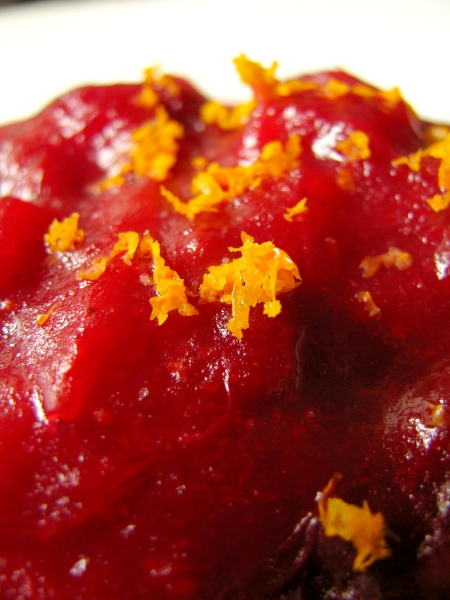 cranberry sauce up close blog size