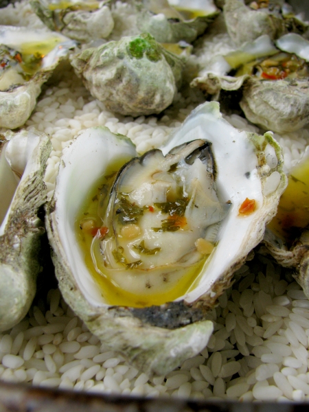 grilled kumamoto oysters