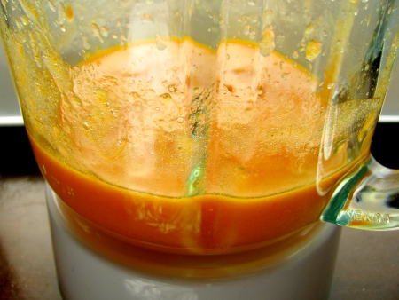 persimmon puree in blender