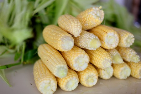 preserving-corn