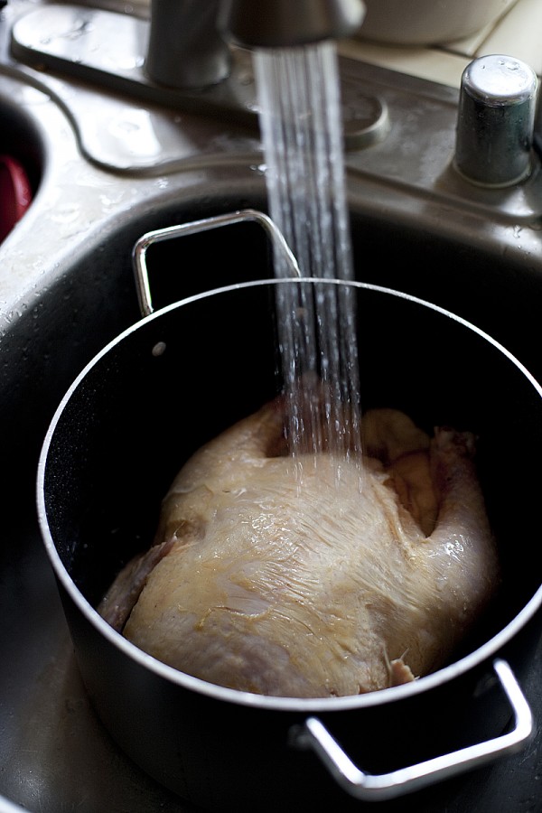 boil-chicken