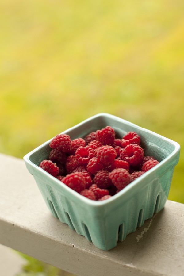 fresh-picked-raspberries