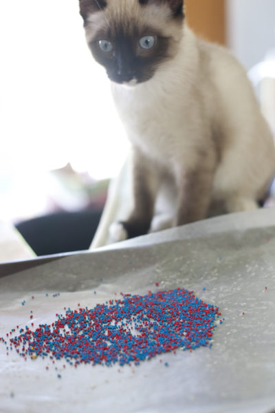 haldir-staring-sprinkles