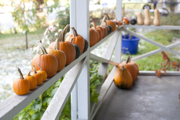 pumpkins-on-railing