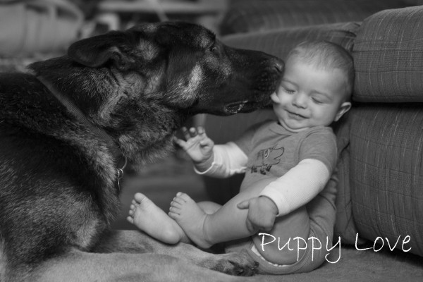 Baby and German Shepherd - EatingRichly.com
