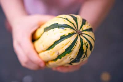 Child hands holding pale yellow delicata squash with dark green stripes
