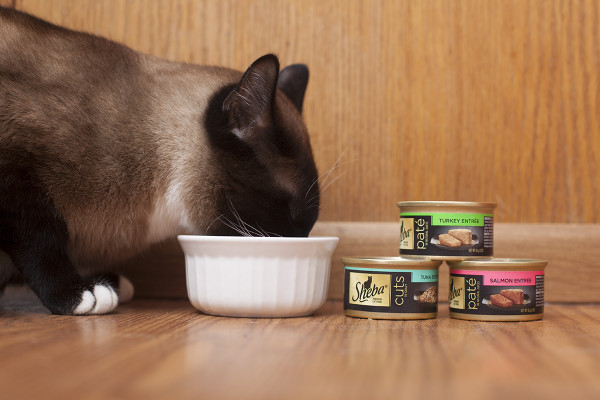Review of SHEBA Entree cat food