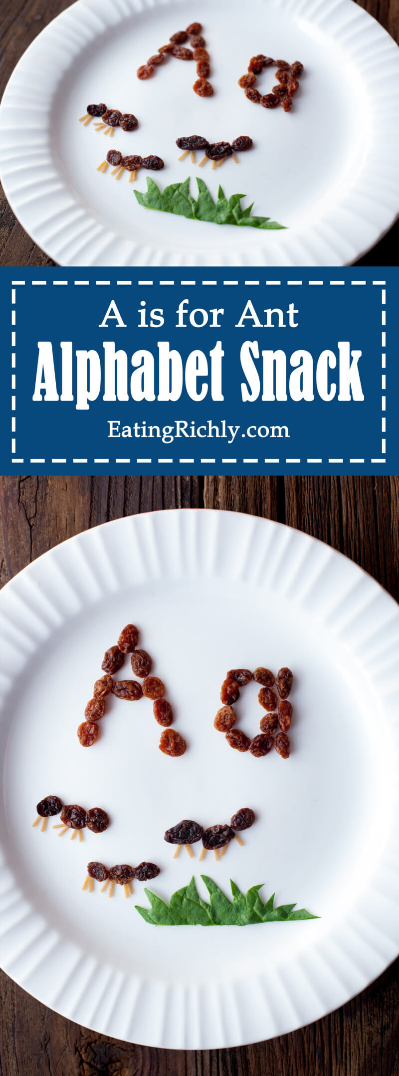 Easy alphabet kids snacks create a fun edible learning experience and preschool reading introduction. These raisin ants teach kids that A is for Ant. From EatingRichly.com.