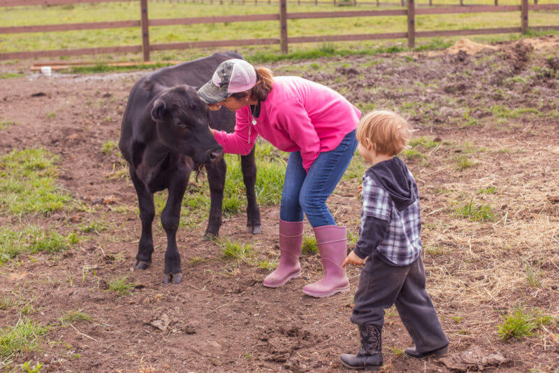 Where does beef come from? Our kids visit a local farm to meet their meat and make sure they understand why we always buy locally raised meat. See the whole story on EatingRichly.com
