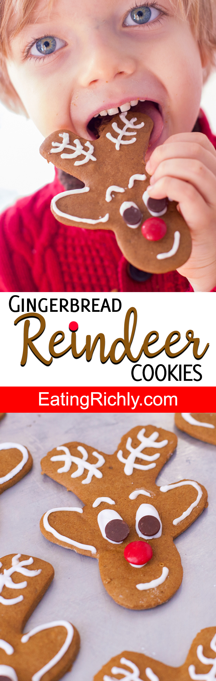 Reindeer Gingerbread Cookies Recipe