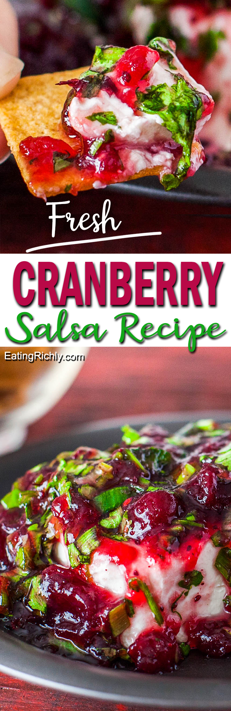 Cranberry Salsa Appetizer